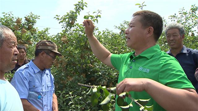 二十年来风雨路,只为环保只为农,转型再诠释服务,续写辉煌不停步 二十年来风雨路,只为环保只为农,转型再诠释服务,续写辉煌不停步