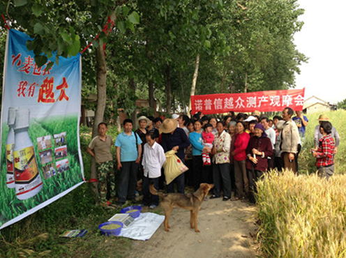 小麦测产观摩会产生轰动效应 小麦测产观摩会产生轰动效应