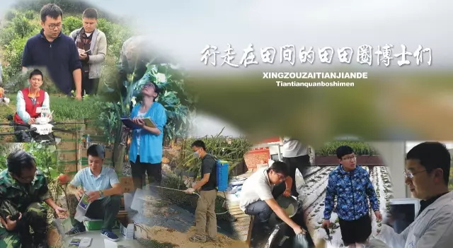 田田圈的博士们:在泥土地上绽放青春 田田圈的博士们:在泥土地上绽放青春