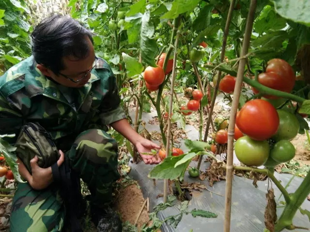 田田圈的博士们:在泥土地上绽放青春 田田圈的博士们:在泥土地上绽放青春